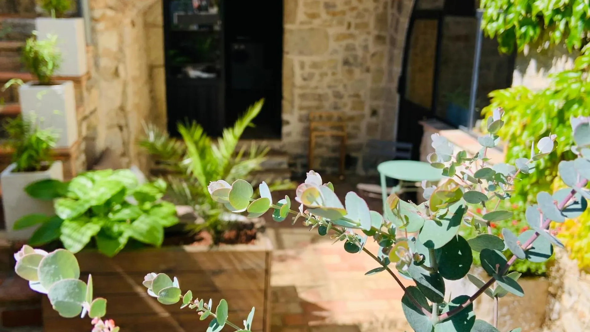 Relais De Poste Apartment South Ardeche Saint-Andre-de-Cruzieres France